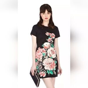 Oasis sheath Dress With Floral Design Sz 4